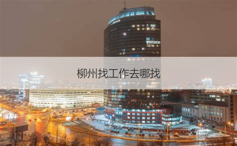 10月27日柳州市举行柳州市政务服务便民利企“微改革”新闻发布会|手机广西网