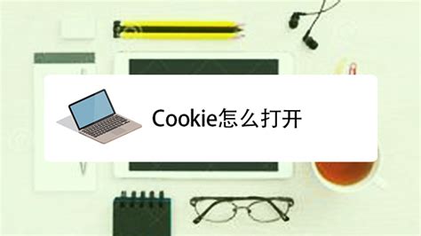 浏览器的 cookie 功能被禁用,如何投入使用此功能-ZOL问答