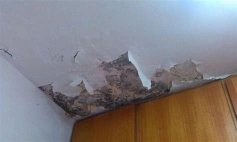 家里墙皮返潮脱落，什么原因造成的？怎么处理？能不能根治呢？