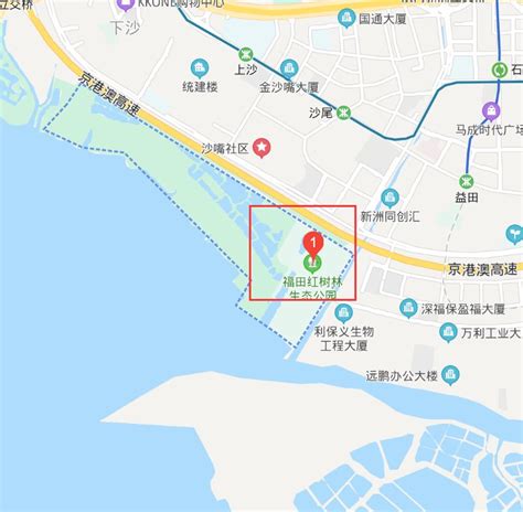 福田红树林生态公园怎么坐车去(地铁站+公交站)- 深圳本地宝