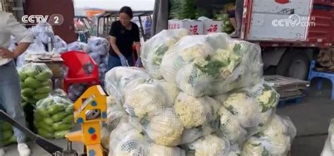 金华本地夏季蔬菜上市 高峰来了 -城市频道-浙江在线