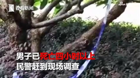 深圳42岁男子猝死小区广场 4小时后才被发现(含视频)_手机新浪网
