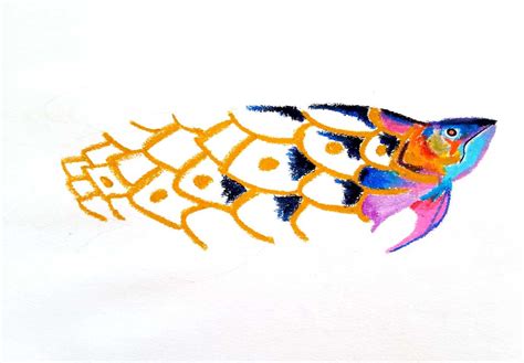 幼儿彩色简笔画 简笔画鱼的画法详细过程 肉丁儿童网