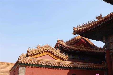2023上海博物馆-旅游攻略-门票-地址-问答-游记点评，上海旅游旅游景点推荐-去哪儿攻略