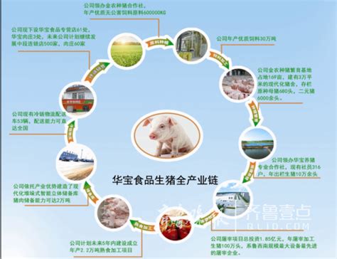 山东华宝猪肉产品实现全产业链溯源_凤凰资讯