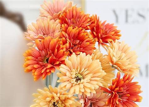 50种常见鲜花的花语大全，如何解读花朵的意义_泰兴婚纱摄影网