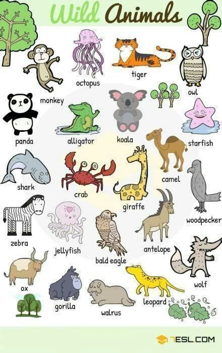 动物英文名大全，图文对照，让你一眼记住各种动物的英文表达！__财经头条