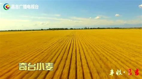 昌吉州“最美石榴籽”巡回宣讲——钱俊莉_腾讯视频
