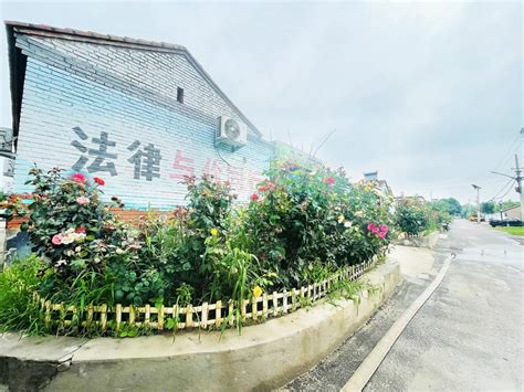 潞城镇引导村民装点闲置空间 小而美 村民门前拾掇出“一米微花园”