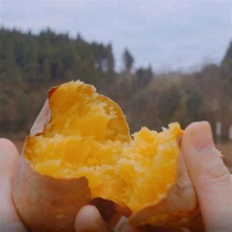 “遂宁好红薯，温暖藏不住”系列短视频27日起上线|红薯_新浪新闻