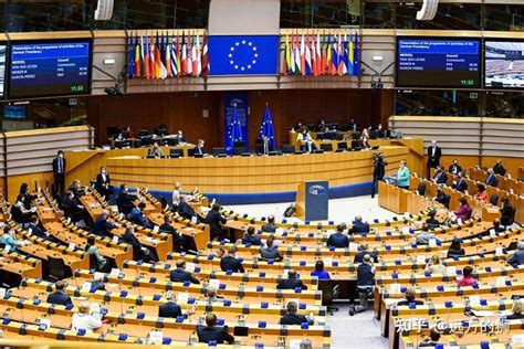 欧洲议会称已冻结有关批准中欧投资协定的讨论，商务部最新回应 | 每经网