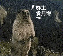 群主发月饼搞笑QQ表情图片