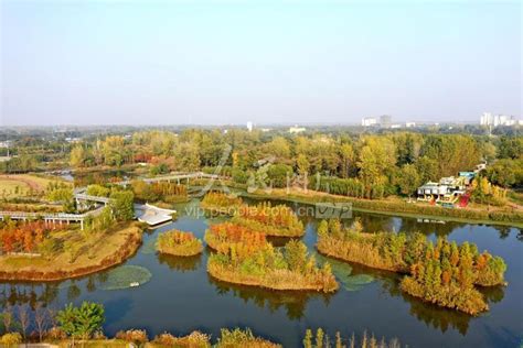 安徽亳州：陵西湖湿地公园景美如画-人民图片网