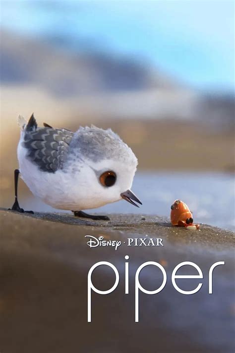 如何评价获得第 89 届奥斯卡最佳动画短片的皮克斯动画短片《鹬》（Piper）？ - 知乎