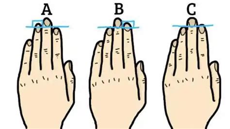 右手无名指经络图,左手无名指络图,无名指是哪个手指_大山谷图库