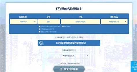 湖南省企业登记全程电子化业务系统企业设立登记（内网）操作说明_95商服网