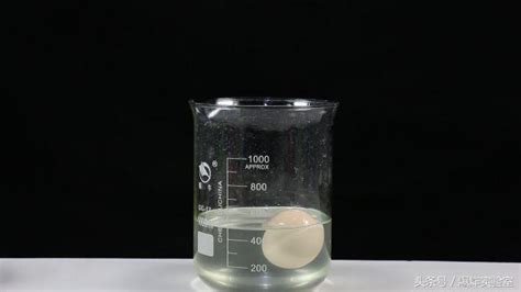 科学小实验--鸡蛋怎么浮起来_360新知