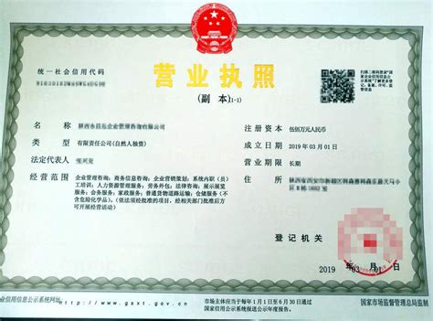 2019新注册公司营业执照将开启横版时代_西安华淼财务咨询公司