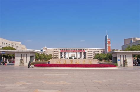 达·卡通 的图像结果