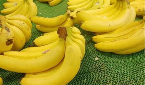香蕉怎么做好吃 香蕉不能和什么一起吃 - 鲜淘网