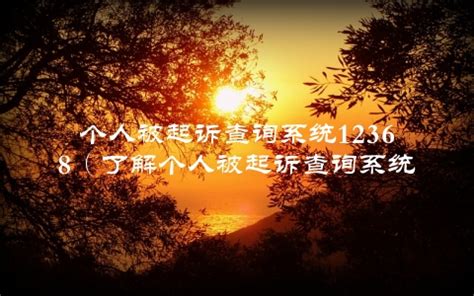 12368案件查询公开网官网(12368案件查询系统官网)