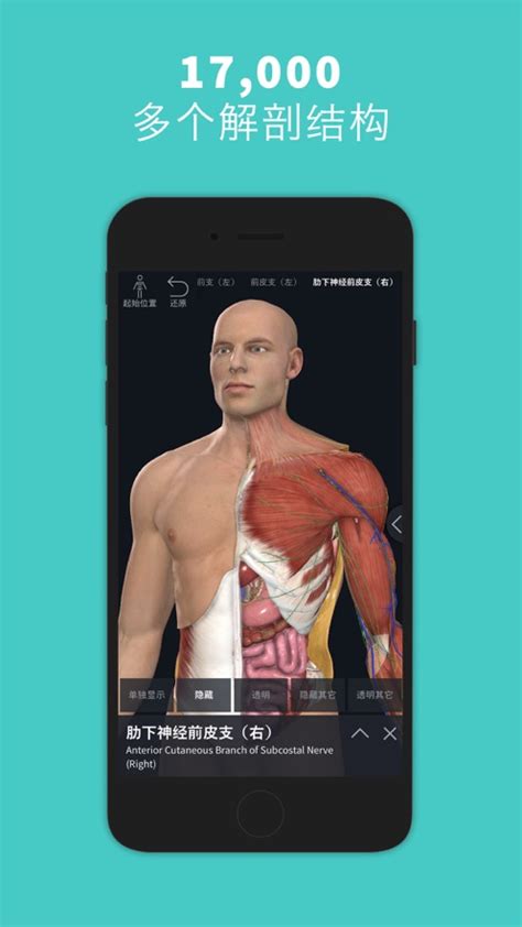3DBody3.0简化版|3DBody三维免费人体解剖软件 V3.0 永生免费版下载_当下软件园