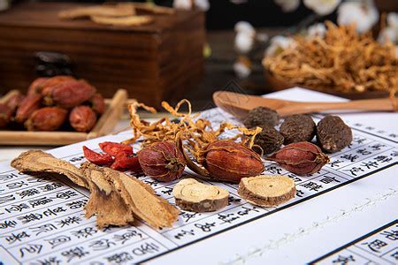 各种中草药图片