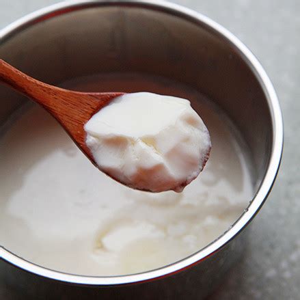 自制酸奶的做法_【图解】自制酸奶怎么做如何做好吃_自制酸奶家常做法大全_健康的吃_豆果美食