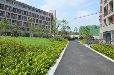 融安县中学教育集中区学生宿舍建筑规划设计 / 上海交通大学设计研究总院 | 特来设计