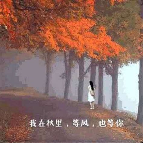 等你图片