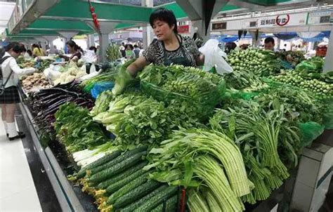 乐乐生鲜进军菜市场领域打造生鲜菜市新模式_商务要闻_天津商务网