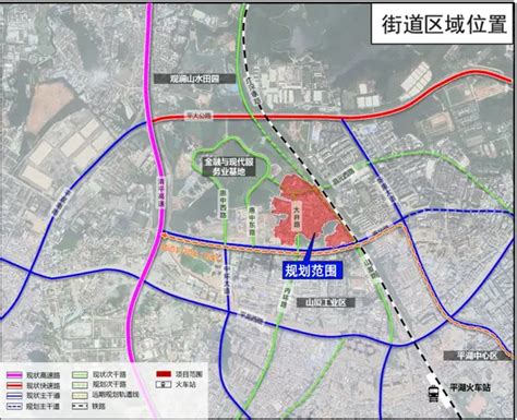 平湖街道“机非分离”慢行系统建设最新进展来啦！_大道