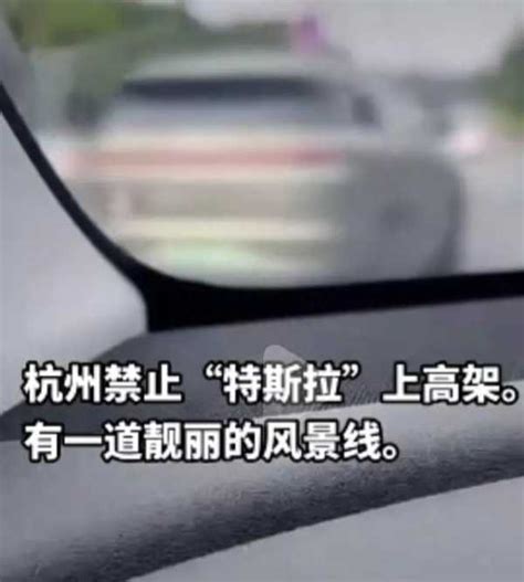 交警回应特斯拉不能上杭州高架-筷逗鱼