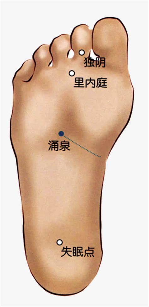脚学位大全图片