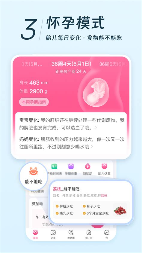 美柚下载2023安卓最新版_手机app官方版免费安装下载_豌豆荚