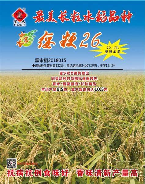 水稻品种济优1127品种简介