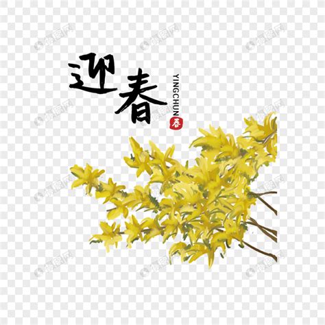 迎春图图片