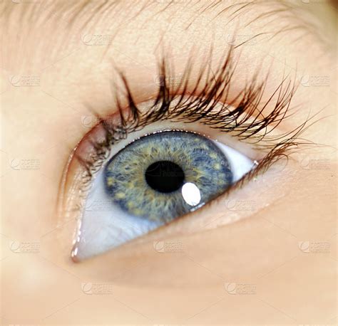 女性眼睛眉毛眼部细节特写高清图片下载-正版图片501540874-摄图网