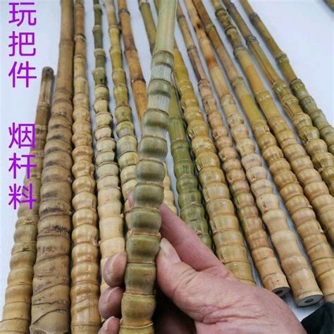 罗汉竹毛料烟杆料龟甲竹罗汉竹文玩手把件竹抄网把件密节老料密节-阿里巴巴