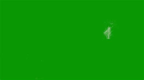 烟花绽放绿幕抠像特效素材4Kmp44K视频素材下载-编号105763-潮点视频