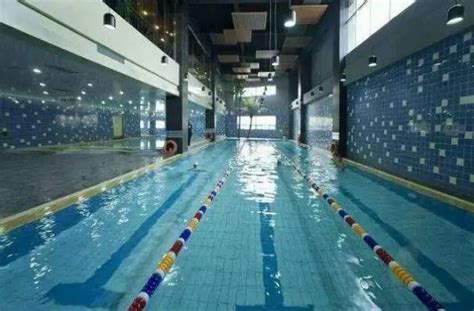 柳州市游泳馆每天分三个时段开放 票价只要10元|手机广西网