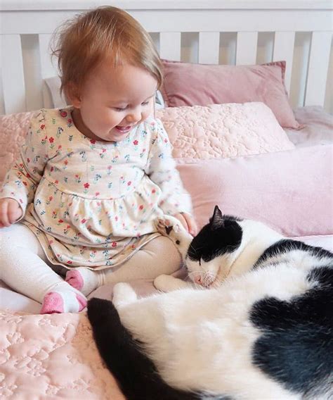 如何阻止猫咪爬到婴儿床上和宝宝一起睡觉 | 大王猫-专注于猫咪和狗狗的宠物网站