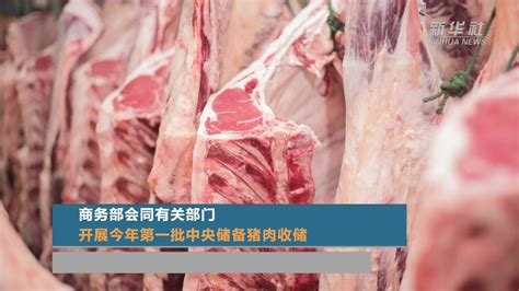 商务部会同有关部门开展今年第一批中央储备猪肉收储_凤凰网视频_凤凰网