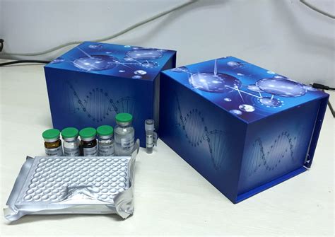兔S100B蛋白（S100B）ELISA试剂盒_兔ELISA试剂盒-研域（上海）化学试剂有限公司