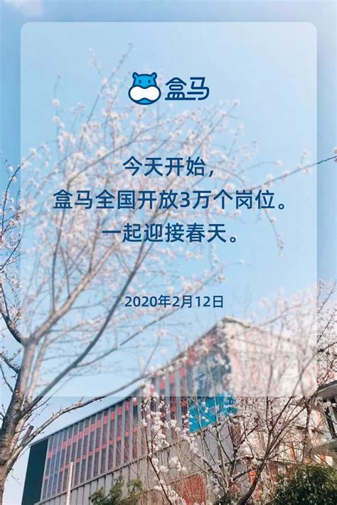 盒马X小红书联合发布《2022盒区房消费洞察报告》__财经头条