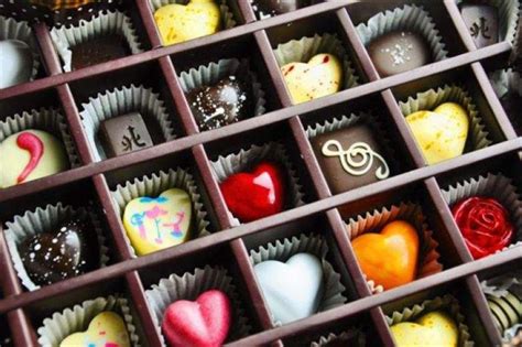 索爱手工巧克力加盟费用-干果招商-巧克力招商-品牌网