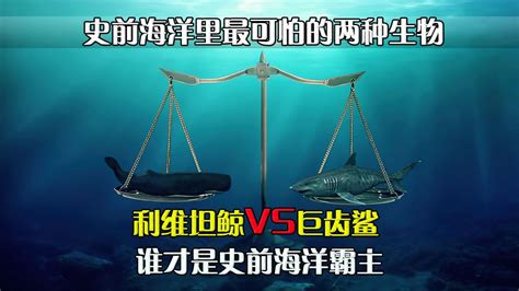 利维坦鲸vs巨齿鲨，谁将是这场史诗般战斗的最终赢家？