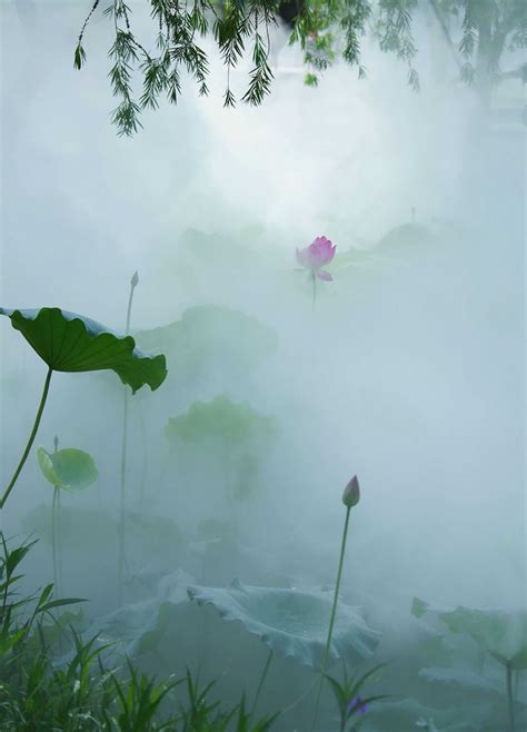 用雾里看花如何造句？雾里看花的意思是什么？