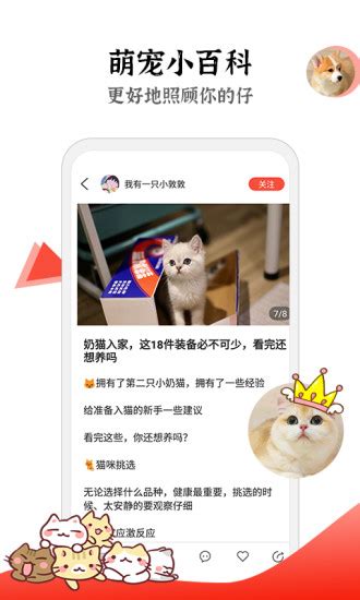 猫猫社app下载-猫猫社宠物社区软件1.7.40 安卓最新版-东坡下载