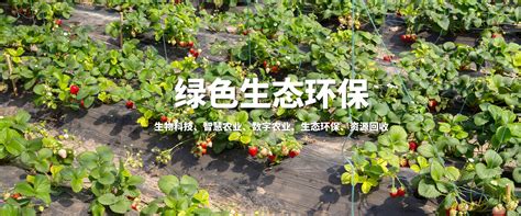 绿色农场生态养殖宣传海报图片下载_红动中国